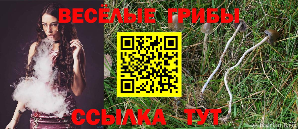Псилоцибиновые грибы Cubensis  Вход с VPN  Псилоцибиновые грибы Magic Shrooms  Краснознаменск 